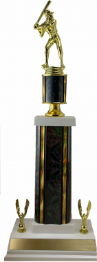 19" Moderator Trophy