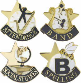 Scholastic Pins