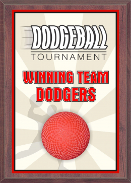 Dodgeball Plaque - SP46-68DB