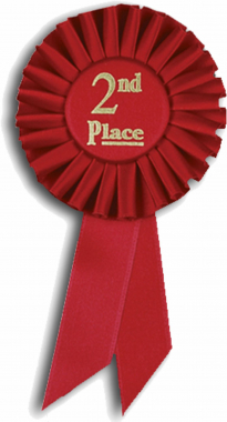 2nd Place Rosette Ribbon