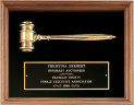 10" x 13" Plaque - PG2440